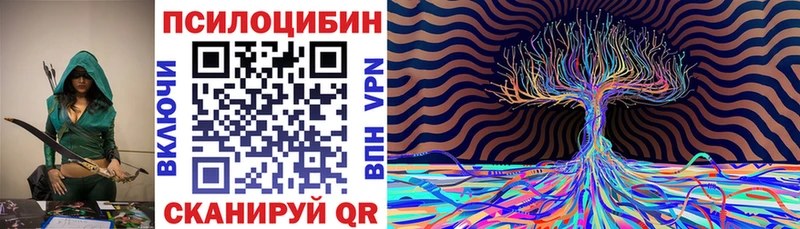 дарнет шоп  Пущино  ссылка на мегу как зайти  Галлюциногенные грибы Magic Shrooms 